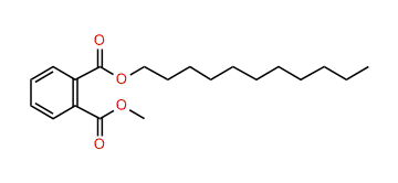 Methyl undecyl phthalate